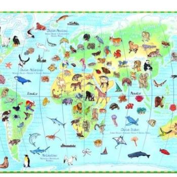 A föld gyönyörű állatai, 100 db-os megfigyelő puzzle - World&#039;s animals + booklet - 100 pcs - Djeco kép