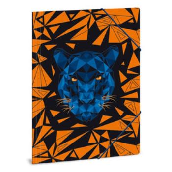 Dosszié A /4 Black Panther  kép