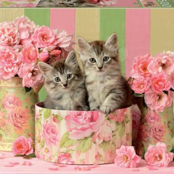 Educa puzzle Kittens with Roses 500 darabos és fix ragasztó 17960 kép