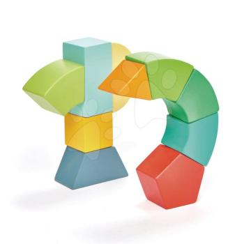 Fa mágneses építőjáték Primary Magblocs Tender Leaf Toys 10 természetes geometriai alakzattal táskában kép
