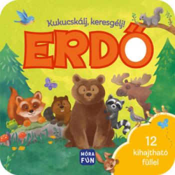 Kukucskálj, keresgélj! - Erdő kép