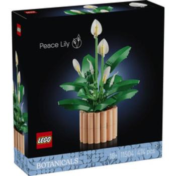 LEGO Botanicals 11504 Vitorlavirág kép