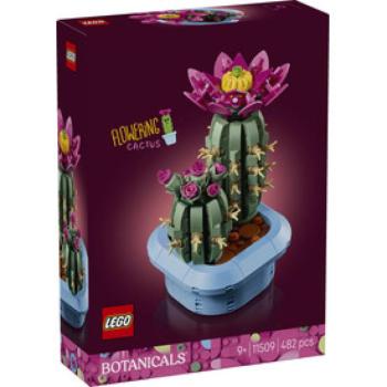 LEGO Botanicals 11509 Virágzó kaktusz kép