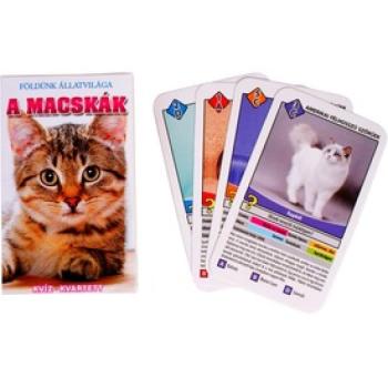 Macskák ismeretterjesztő kártya kép