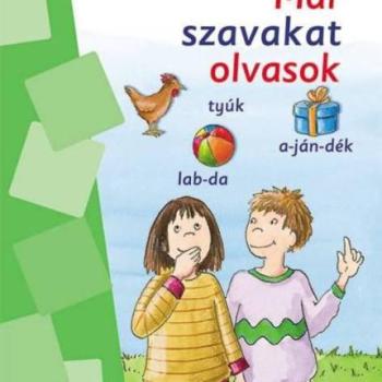 Mini LÜK LDI-248 Már szavakat olvasok kép