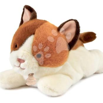 Plüss cica nehéz pocakkal P'tit Relax Cat Histoire d’ Ours barnás-fehér 30 cm 0 hó-tól HO3325 kép