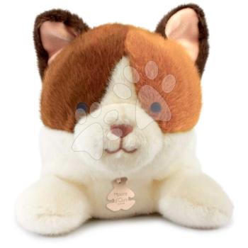 Plüss cica nehéz pocakkal P'tit Relax Cat Histoire d’ Ours fehér-barna 22 cm 0 hó-tól kép