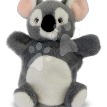 Plüss koala kesztyűbáb The Glue Pots Koala Puppet Histoire d’ Ours szürke 24 cm 0 hó-tól kép