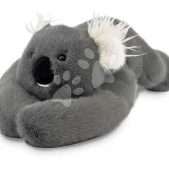 Plüss koala ölelgetésre The Glue Pots Koala Bear Histoire d’ Ours szürke 40 cm 0 hó-tól kép