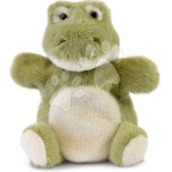Plüss krokodíl kesztyűbáb The Glue Pots Croco Puppet Histoire d’ Ours zöld 24 cm 0 hó-tól kép