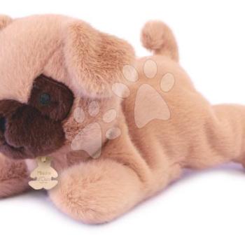 Plüss kutyus nehéz pocakkal P'tit Relax Beige Dog Histoire d’ Ours bézs 22 cm 0 hó-tól kép