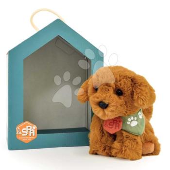 Plüss kutyus Welcome Home SPA Collection Histoire d’ Ours ajándékcsomagolásban barna 16 cm 0 hó-tól kép