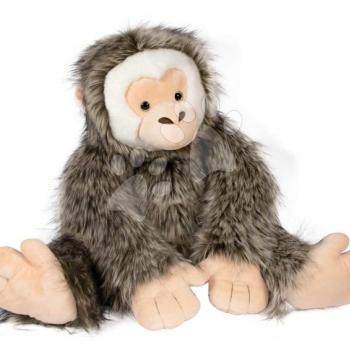 Plüss majom Monkey Histoire d’ Ours barna 75 cm 0 hó-tól kép