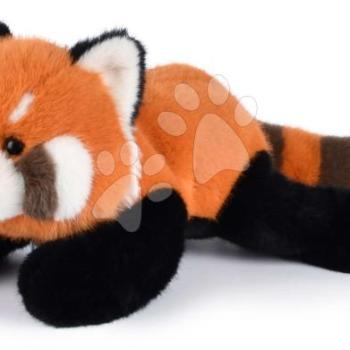 Plüss vörös macskamedve Sierra The Red Panda Histoire d’ Ours narancssárga 32 cm 0 hó-tól HO3339 kép