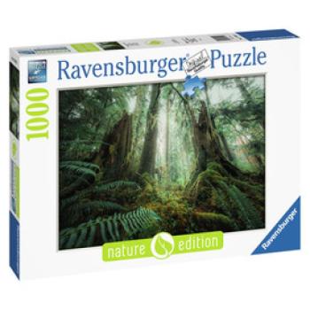 Puzzle 1000 db - Fák kép