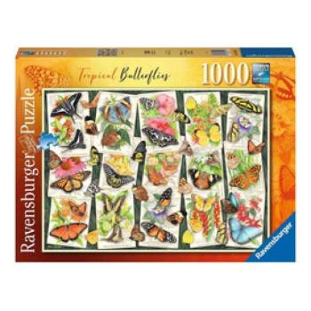 Puzzle 1000 db - Trópusi pillangó kép