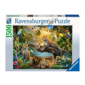 Puzzle 1500 db - Leopárdok a dzsungelban kép