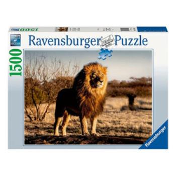 Puzzle 1500 db - Oroszlán az állatok királya kép