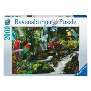 Puzzle 2000 db - Színes papgájok a dzsungelban kép