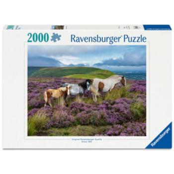 Puzzle 2000 db - Vadlovak a mezőn kép