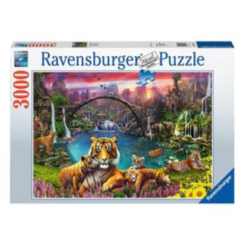 Puzzle 3000 db - Tigrisek a lagúnában kép