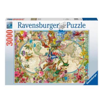 Puzzle 3000 db - Világtérkép és pillangók kép