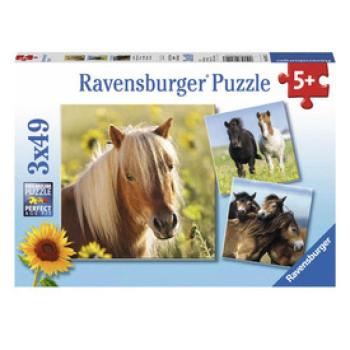 Puzzle 3x49 db - Szépséges lovak kép