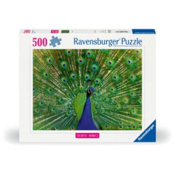 Puzzle 500 db - Páva kép