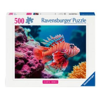 Puzzle 500 db - Vörös oroszlánhal kép