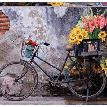 Puzzle Bicycle with Flowers Educa 500 darabos és Fix ragasztó EDU17988 kép