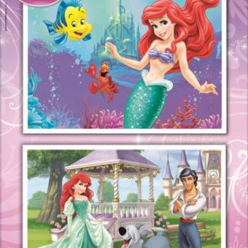 Puzzle gyerekeknek Ariel Educa 2x20 db 15594 színes kép