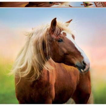 Puzzle Horse at Sunrise Educa 500 darabos és Fix ragasztóval a csomagban 11 évtől kép