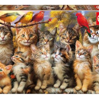 Puzzle Kittens and Birds Educa 500 darabos és Fix ragasztó kép