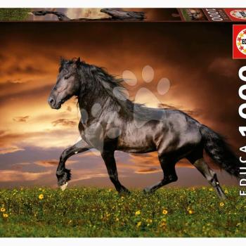 Puzzle Trotting Horse Educa 1000 darabos és Fix ragasztó kép