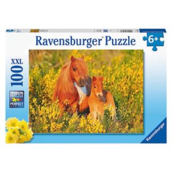 Ravensburger Puzzle 100 db - Shetland-i pónik kép