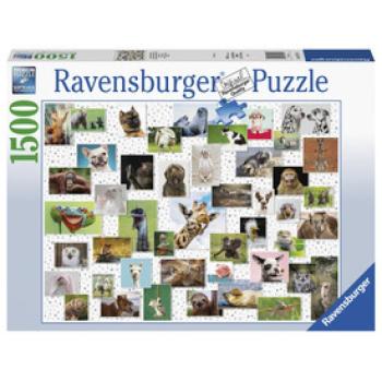 Ravensburger: Puzzle 1500 db - Vicces állatok kép
