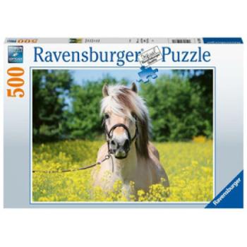 Ravensburger: Puzzle 500 db - Ló a repcemezőn kép