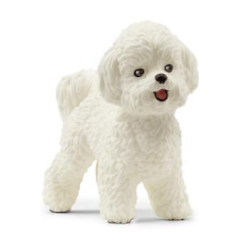 Schleich Bichon Frise kép