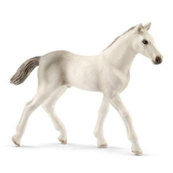 Schleich Holstein csikó kép