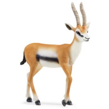 Schleich Thomson gazella kép