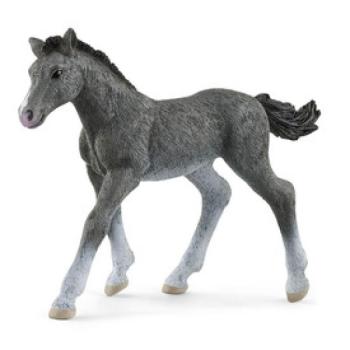 Schleich Trakehner csikó kép