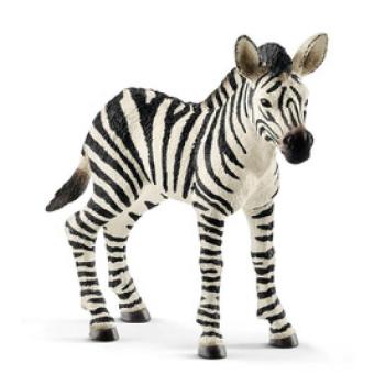 Schleich Zebra csikó kép