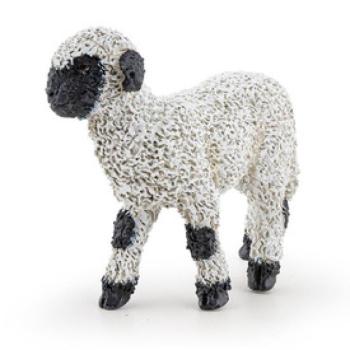 Wallisi feketeorrú bárány kép