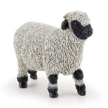 Wallisi feketeorrú juh kép