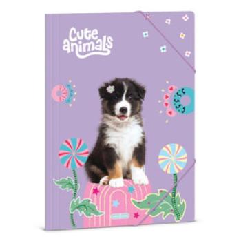 A /4 dosszié Cute animals- Aussie kép