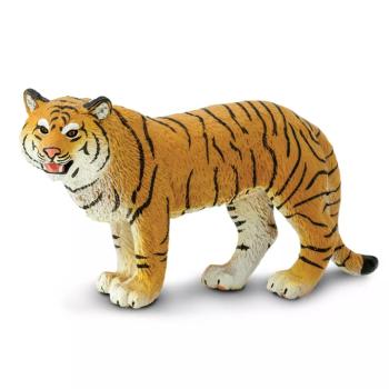 Bengáli tigris nőstény kép