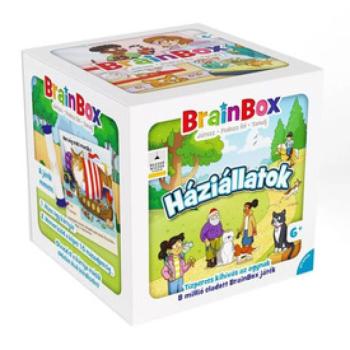 Brainbox, háziállatok
