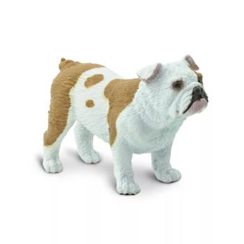 Bulldog kép