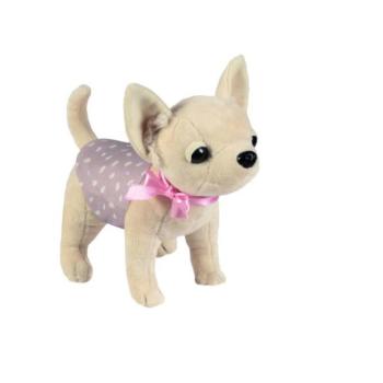 DeCuevas 10043 Chihuahua kutya DIDI 2021 kép