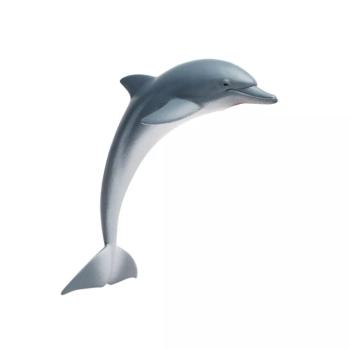 Delfin kép